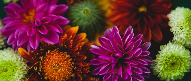 略不仅有助 略不仅有助