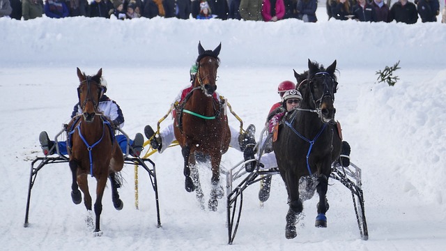 他们完全有 他们完全有