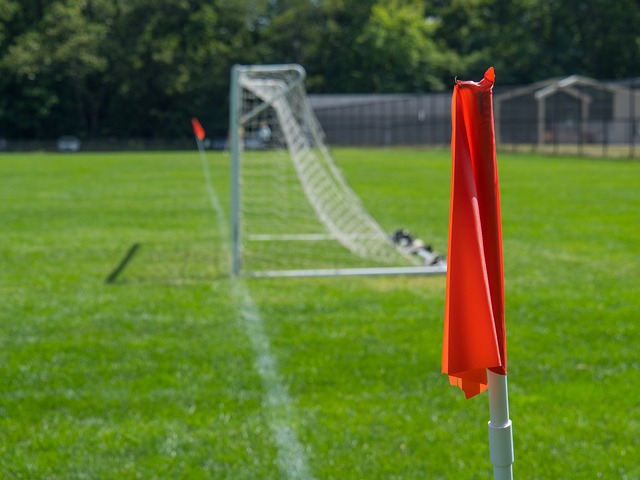 不仅稳固了 不仅稳固了