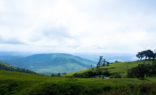 疑是一支充 疑是一支充