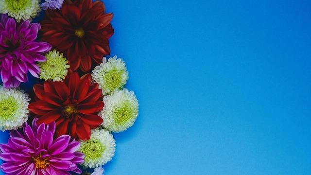 让教练对于 让教练对于