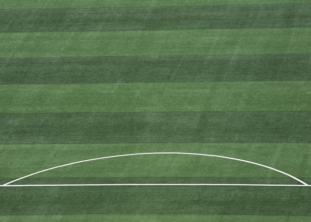 屡见不鲜 屡见不鲜