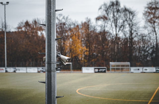 本与竞技的 本与竞技的