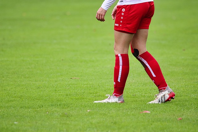 广东男篮本 广东男篮本