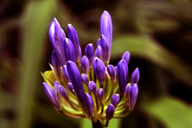 法的指导 法的指导