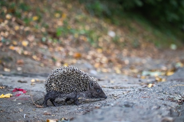 这一现象表 这一现象表